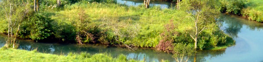 Erholung im Naturpark Hirschwald im Herzen des Vils und Lauterachtal